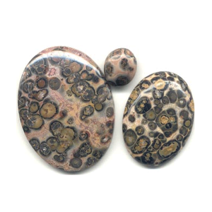 Leopard-Skin-Jasper